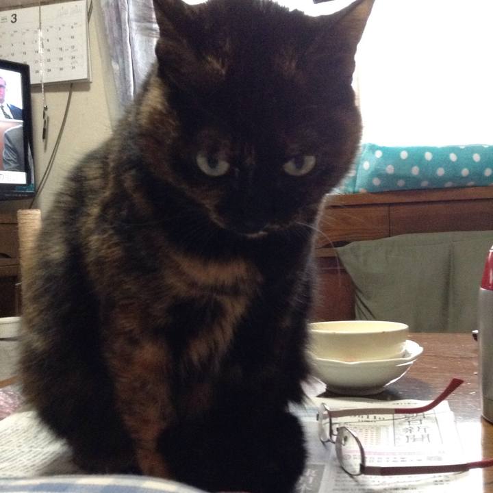 7055a19a 77e3 46ee b177 068d3d5abbca 1520721878559