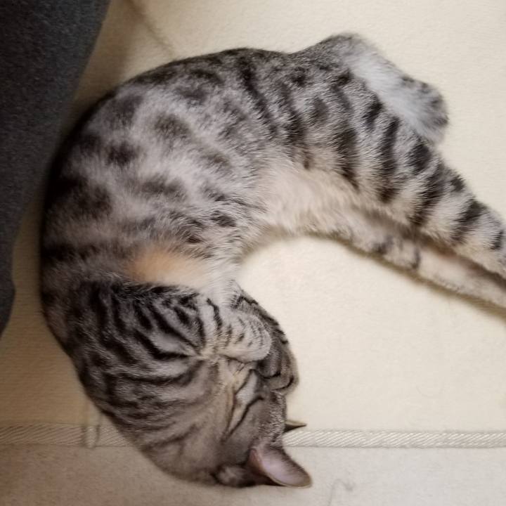 7055b93a 4bf3 4aed 8527 1e05ba3efeb3 1673768394519