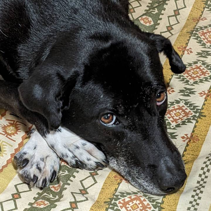 7055d555 53e5 4fcc be1d c2f53a3d0dfb 1683026829276