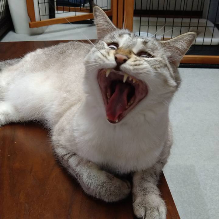 7055d8a4 43da 471d 90b8 4c9de8e6f4d1 1628331265902