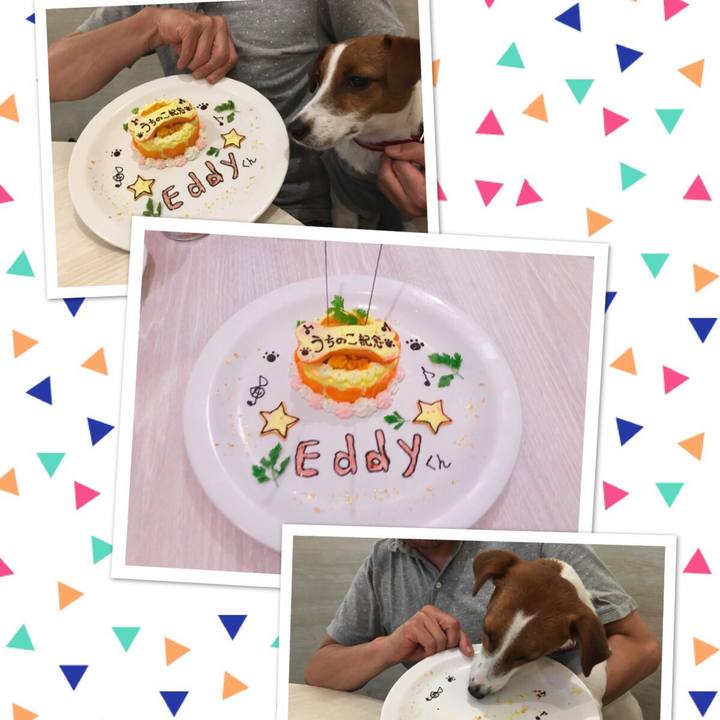 7055fc61 bb83 4cc7 8c88 61a5853b89aa 1527581610140