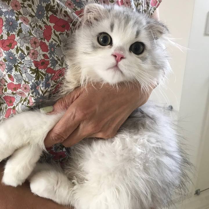 70560ba2 23aa 4714 a447 c06f06c65744 1597063396865