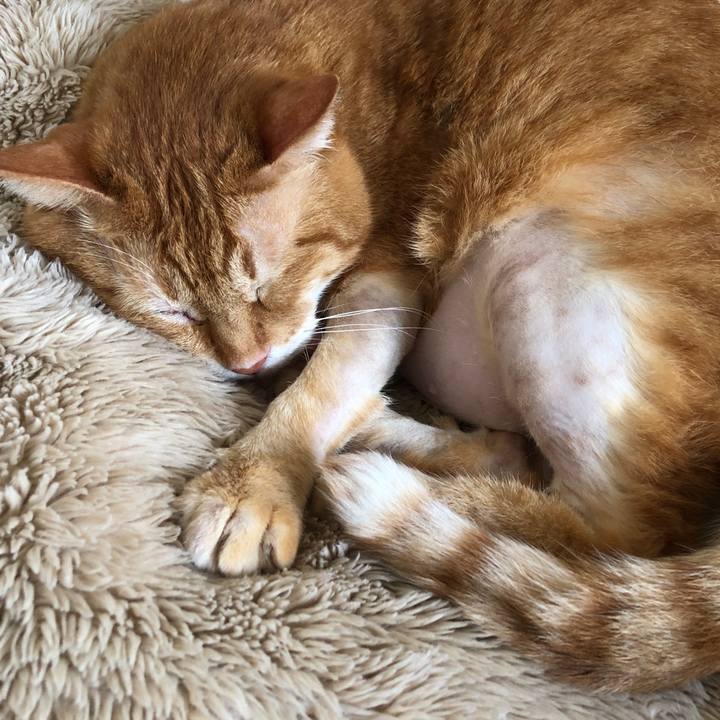 70562cea cb23 4a81 a2e2 0811212182a2 1687937852914