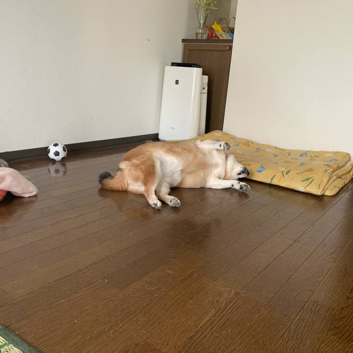 70563e40 d104 4de5 b3d4 6f3aa2fb1648 1625974419617