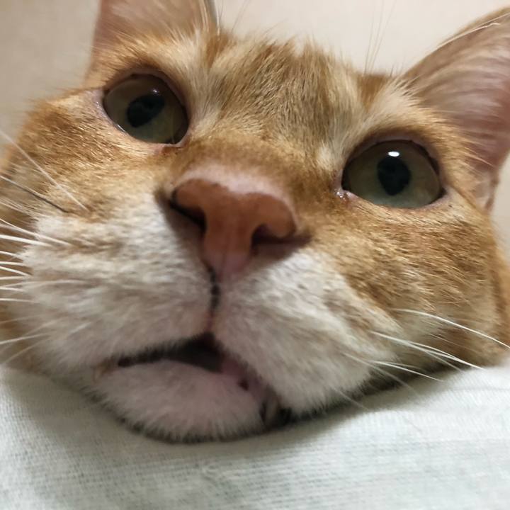 7056a78f f654 4fd3 9843 36df6aa7abe2 1650014277644