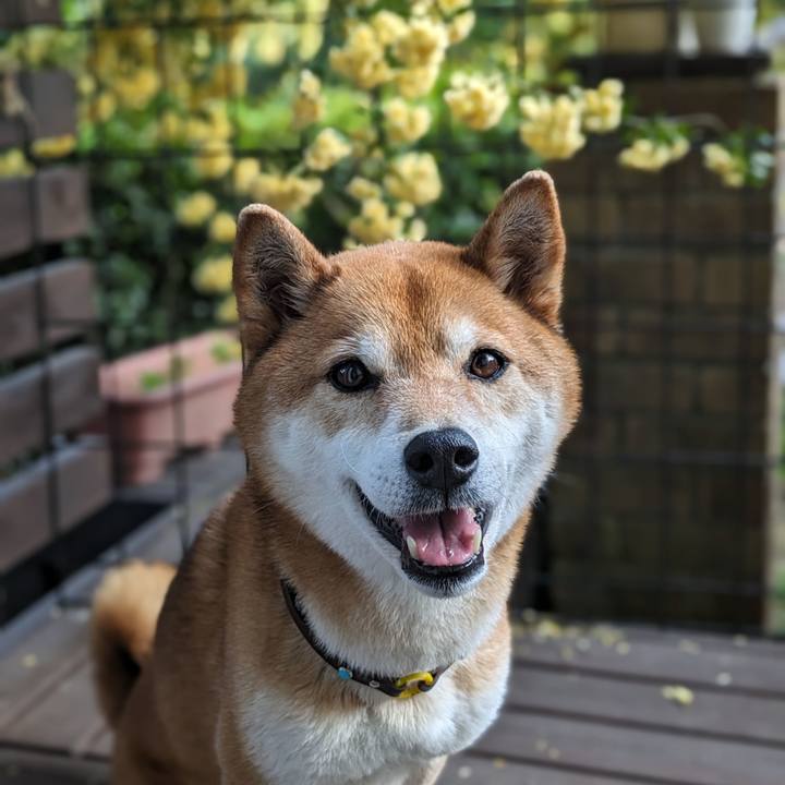 7056b43f 59d4 4d20 bb46 171a02821b58 1714033780965