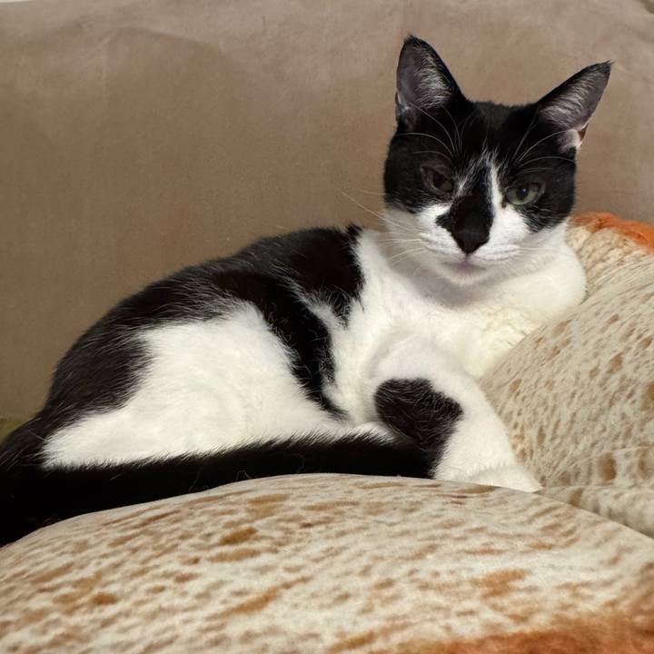 7056d3c4 4cac 462b 996a 340050aa39fa 1770776566793