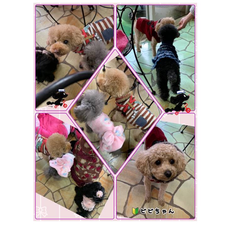 7056e1e6 605c 40c8 8b7c 5e58489741fd 1547449223562