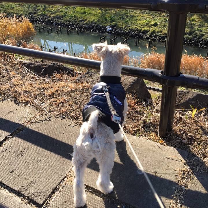 7057501a f308 4d74 a262 63e51024ea13 1546677290757