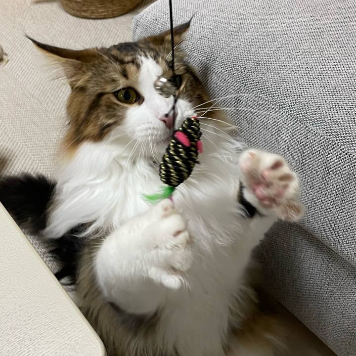 705759c9 a875 4644 a211 c63582f1a795 1644786775274