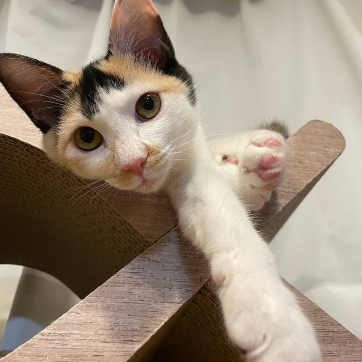 70578d6f 52ef 40cf 9549 039f6a0b4f94 1665572213990