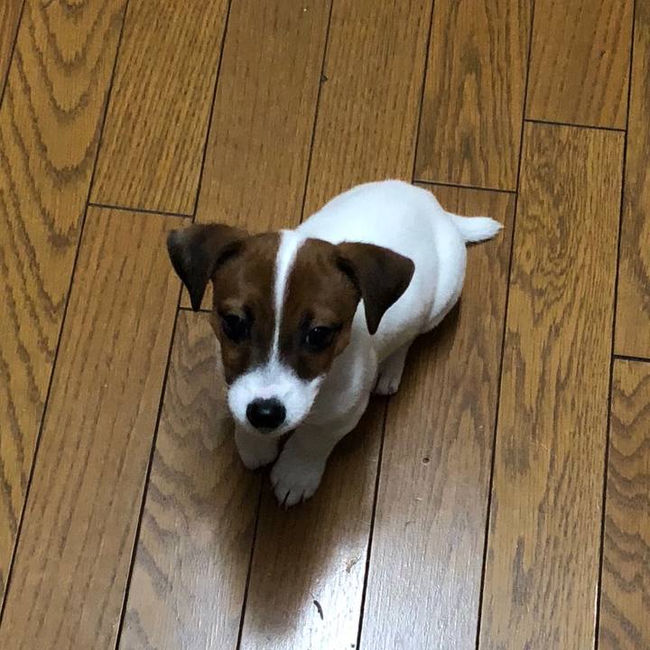 7057a2d1 f105 4966 b972 2ed7f2589e20 1511824649952