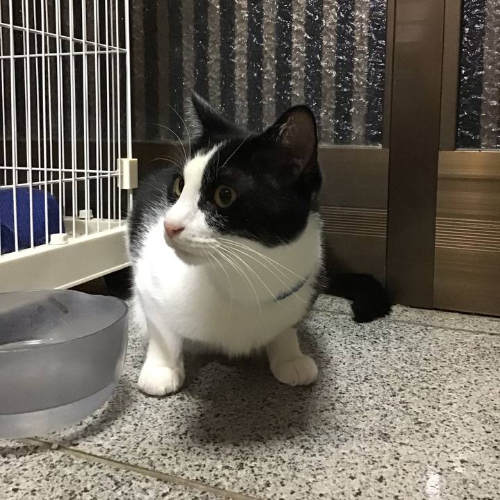 7057ecc8 fe3f 4e53 9c69 76817202f52c 1695995899002