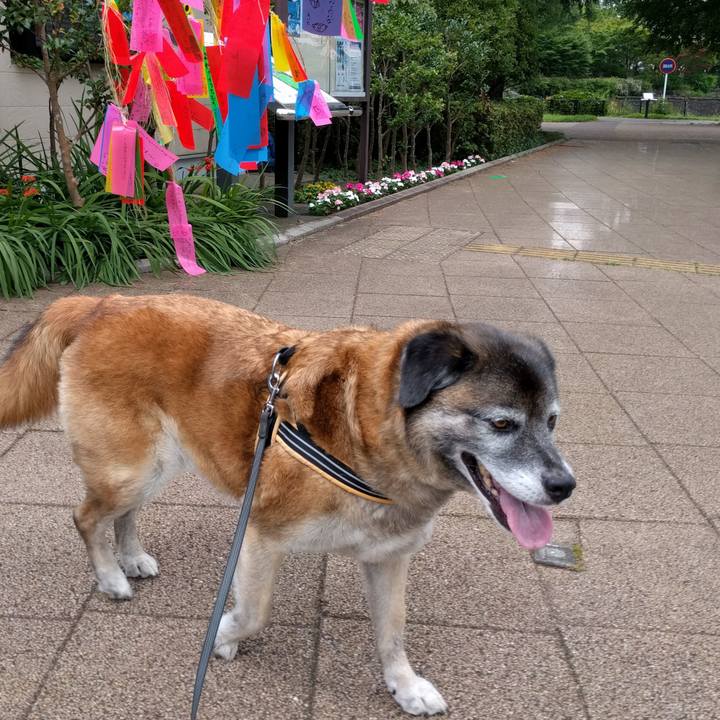 70582af5 5a5f 4021 b036 1f948ac0cfb9 1530660641811