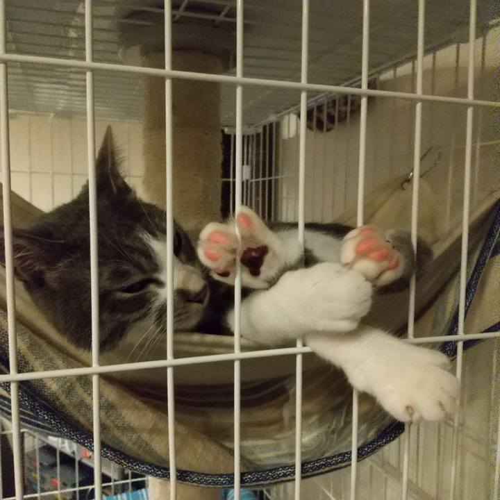 705851de f9df 454c b433 674ac467e2ac 1597767605998