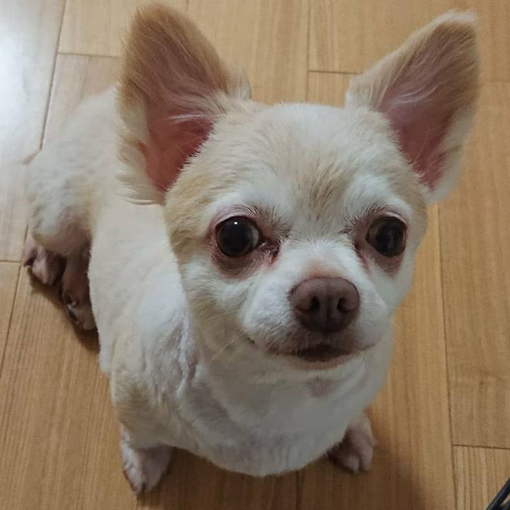 70585e35 3c56 4f52 b133 eac8c48b6e2f 1566222534123