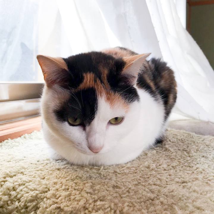 705870a9 a63f 4c9a a1e9 bc3c26469d1a 1520729624985