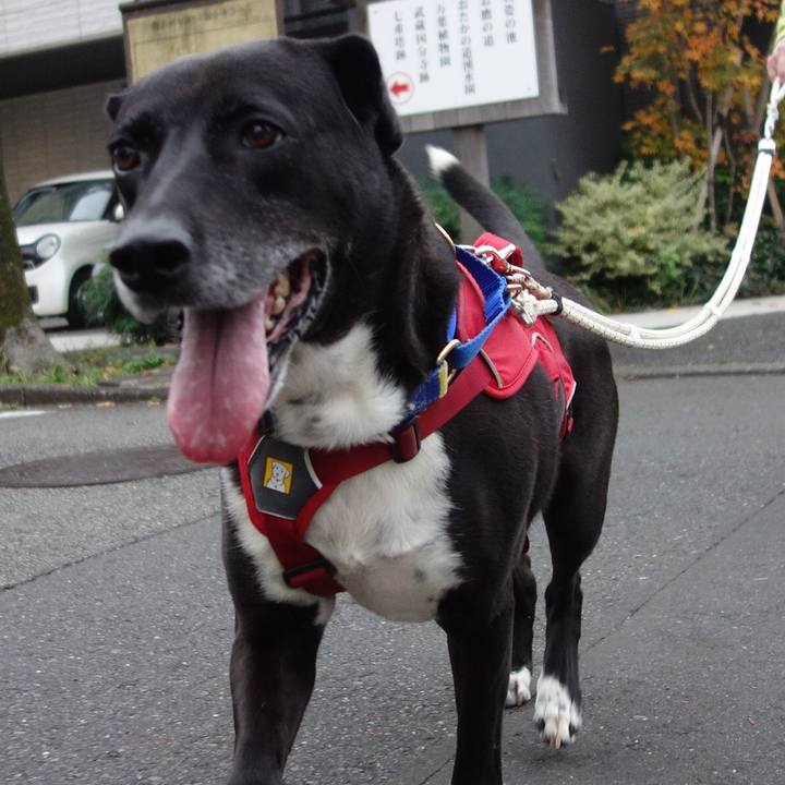 70587345 8543 40f3 9a0f 20576e25b863 1669420645582