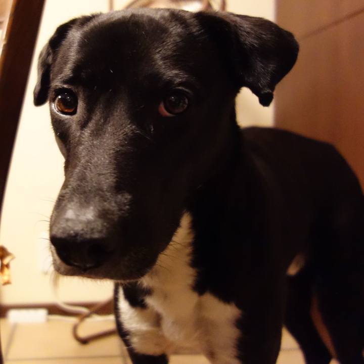 705874a0 50bb 447c 9ea5 ff655eb960cf 1583316769478