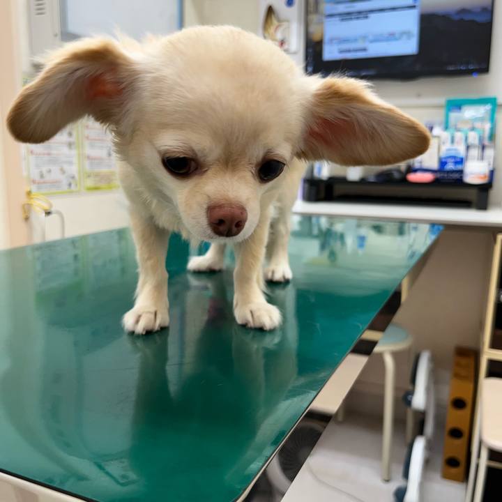 70587e42 e632 451d 9e00 639fb00ac5c2 1724469491066