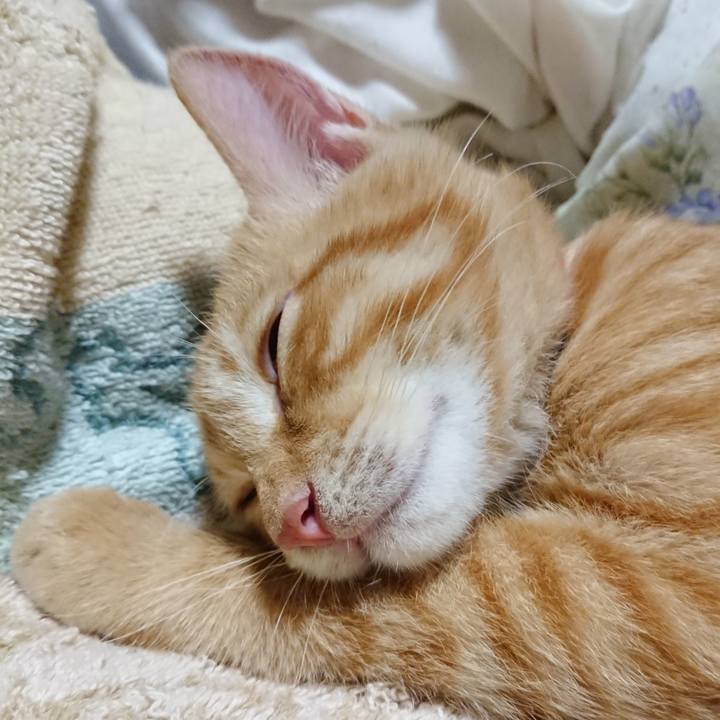 7058bcac 21c2 44bc a1d0 585153c32b56 1633439062233