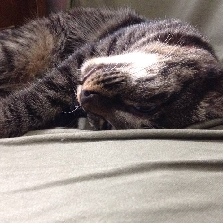 7058cb4e 0acc 46ac a6b6 67aca9993dde 1535001542938