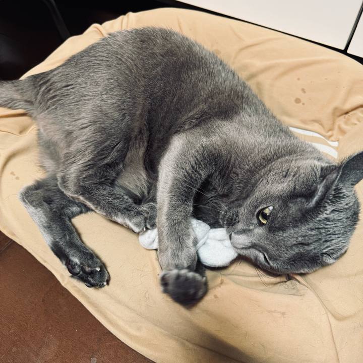 7058de69 c262 4501 bbee 50f0b43f2e81 1773319642056