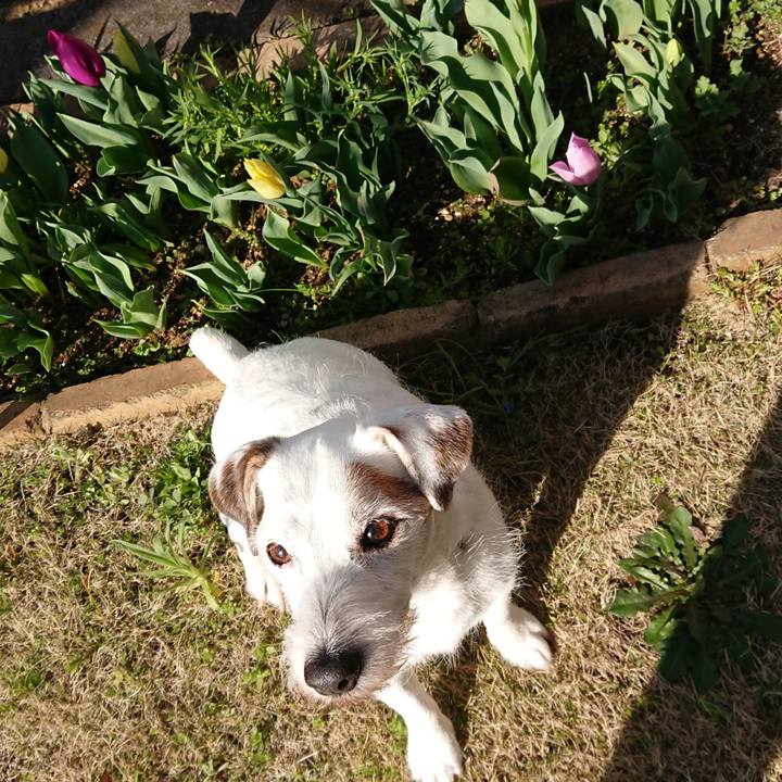 7059060b 73c6 408e 85eb 9ef91c3994ca 1584488305368