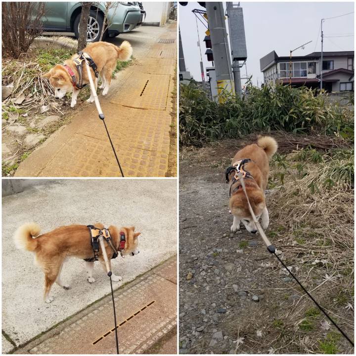 70590686 9c65 4975 b513 8317203dae35 1773804546687