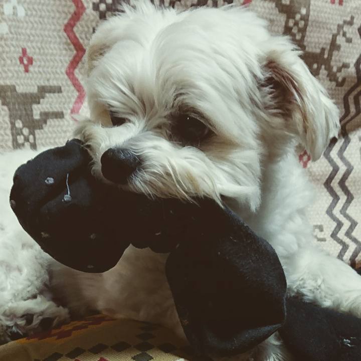 70593fec 9d25 44b3 82ac ba4aa19c4014 1555505589336