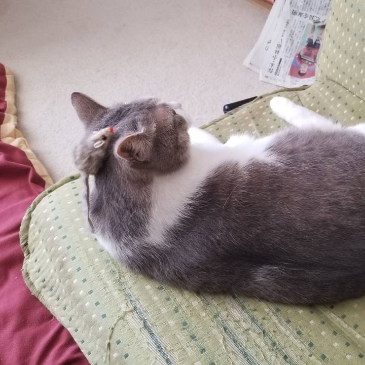 70596737 2b29 4506 a5dd 921c632ff882 1640447426950