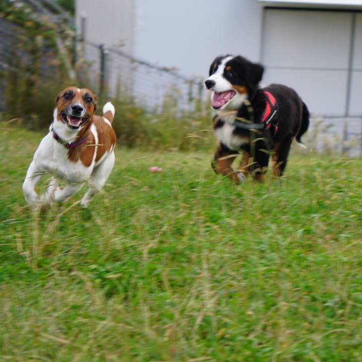 70598b13 4a9f 4d56 95c9 ecaa06166a42 1540768294171