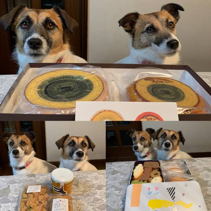 7059aa7b c048 4f2f 83eb e6d43d086ac8 1647084929951