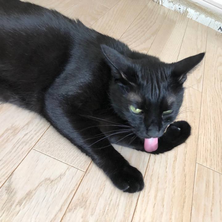 7059b1fa f60e 40ff 83fa 79cdde3d0e3c 1527381910098