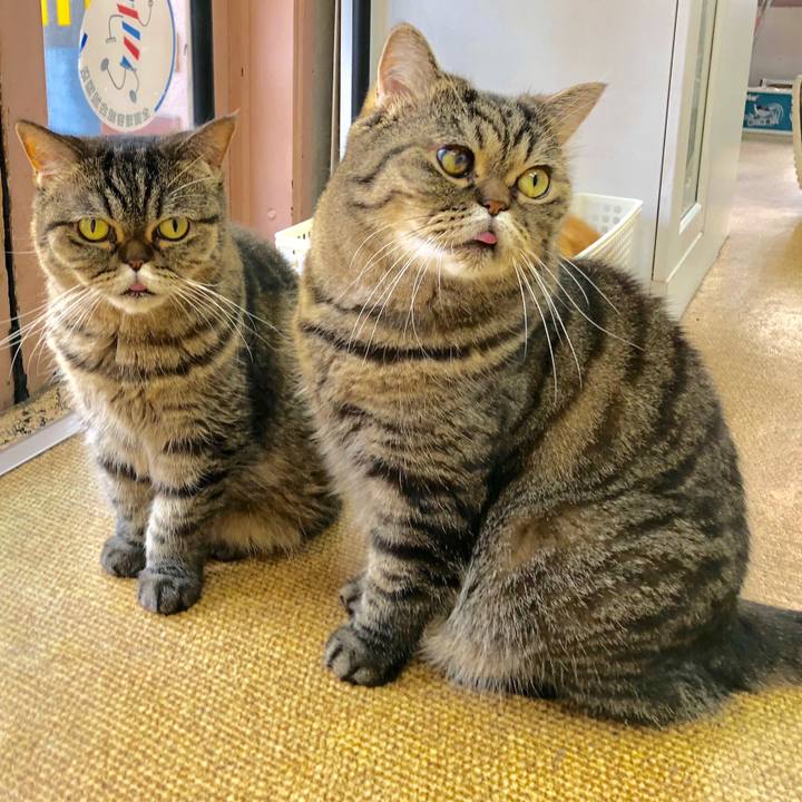 705a0118 9947 4711 a2c4 c7f2a7008346 1645485568272