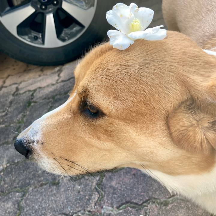 705a1368 d22c 4db9 87d5 d279c13975d1 1638232067961