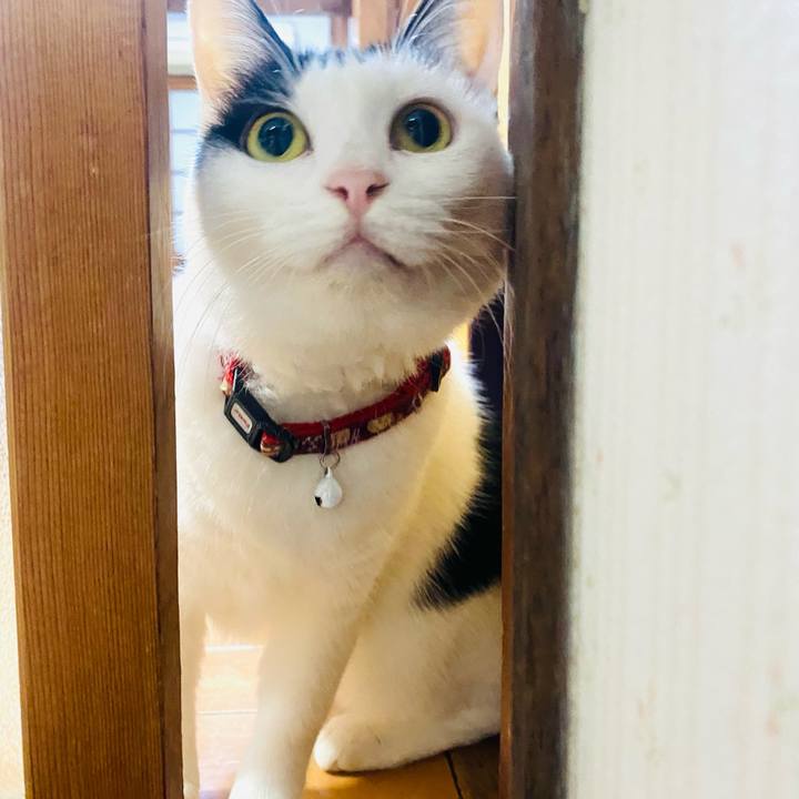 705a1e82 f473 4198 897e c98335bfec8e 1663711457910