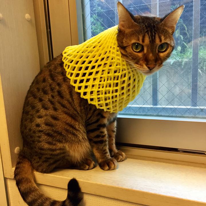 705a27b5 d83e 4303 84b6 e9eff082eaaf 1538516865588