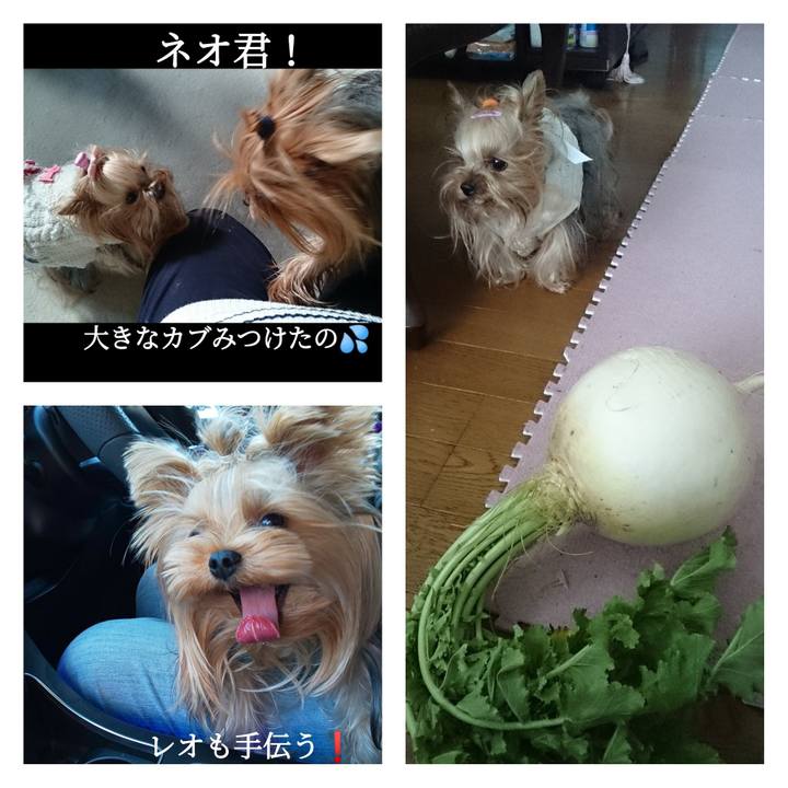 705a2d44 e186 44f2 a89f e899a71d6a83 1642490779314