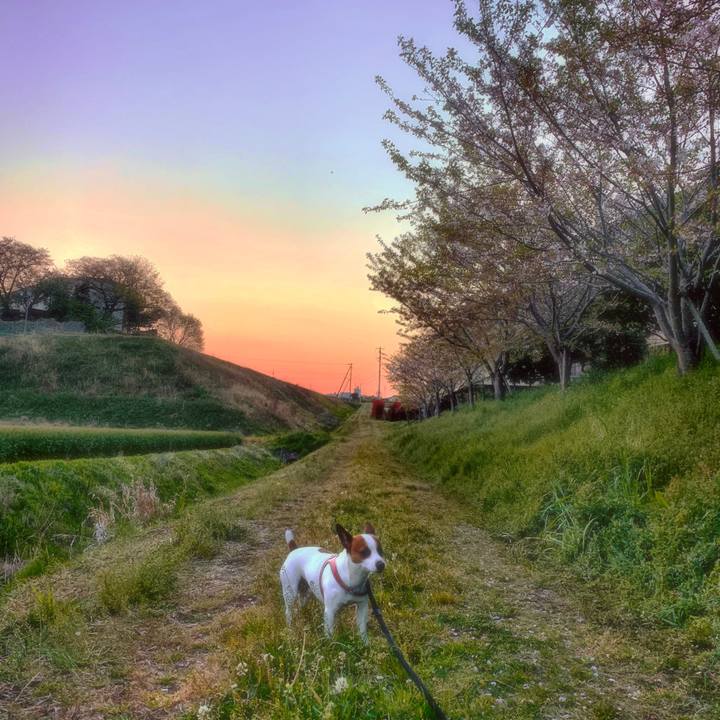 705a42fb 5136 4f68 9e88 561d325393b2 1555600138426