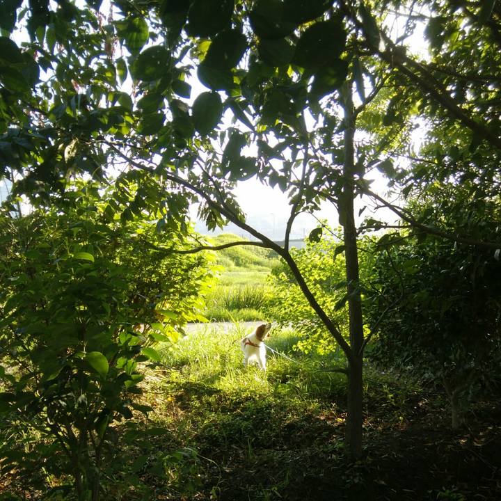 705ac5b3 8826 4d06 805e 9a6d3f7aa6c5 1534508714119