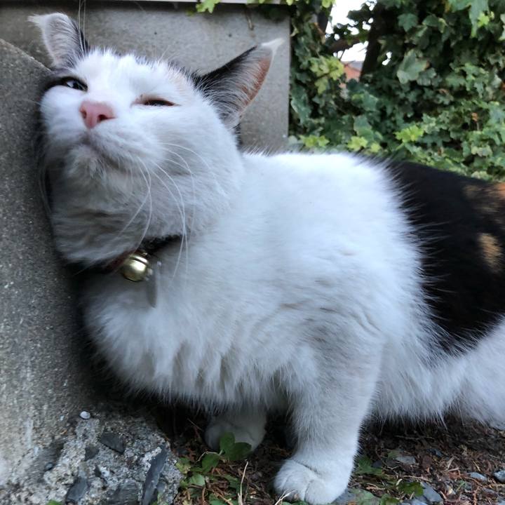 705aee89 8099 4947 ba42 2ea5b95a2ec3 1607466120071