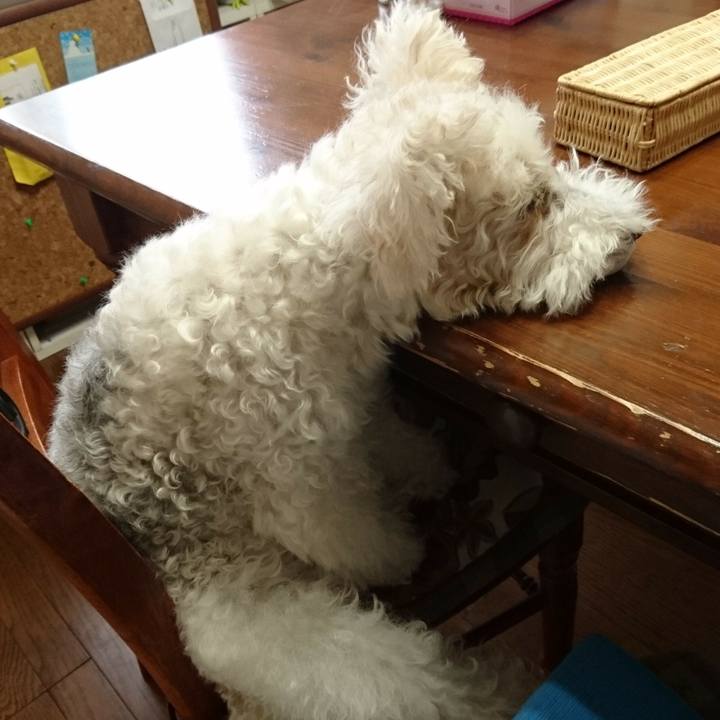 705b1224 889e 45c4 a71d d0e397de3434 1508385243697