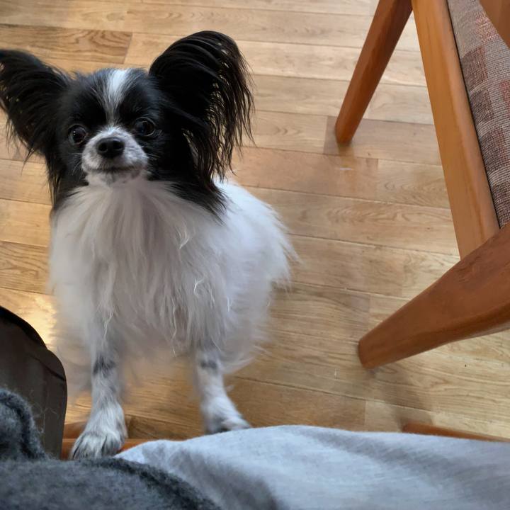 705b1990 d907 42d5 8b44 768dcb3c6f7d 1541199378763