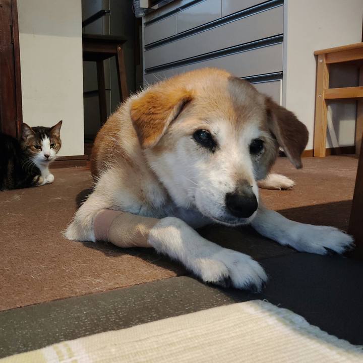 705b1f04 800e 485c a63d ce52dbff0de0 1656145739518