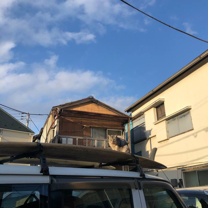 705b3dfc 203d 4aa3 bff7 5730c7bd8a35 1580741947455