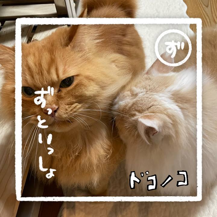 705b4e9d e823 48a6 8a8b 79e14dab0f12 1685970873564