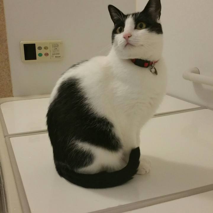 705b7d87 a25e 4bc5 8a24 d31e95636e61 1512629727774