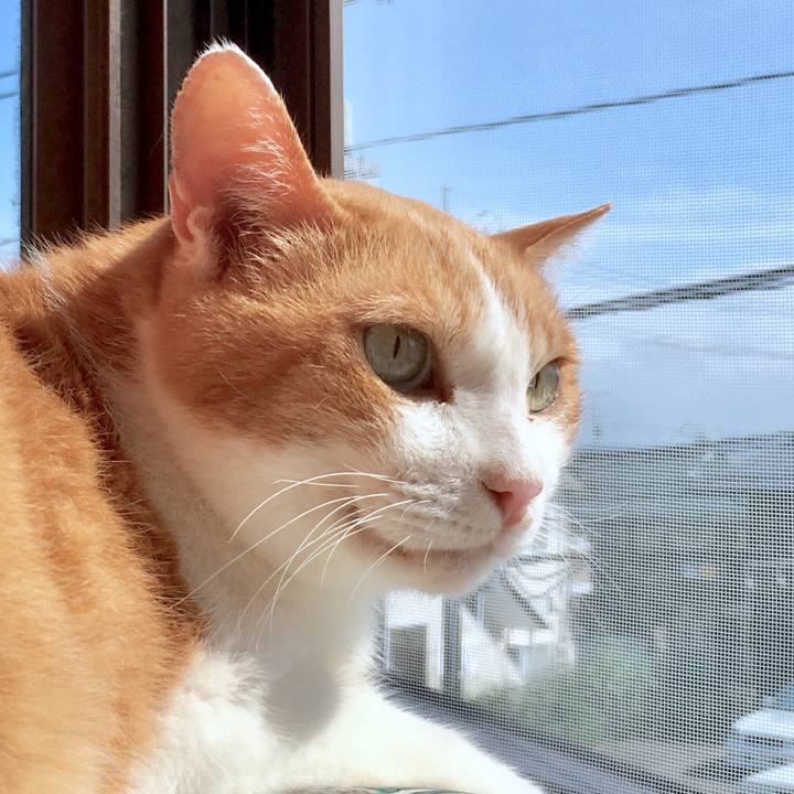 705bd0e9 3029 4b13 abe9 9e9d34fa00f0 1565504209204