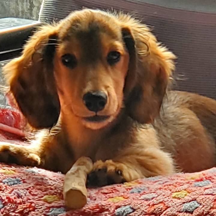 705c135c 7255 455d 97d5 83e484028fee 1763601842884